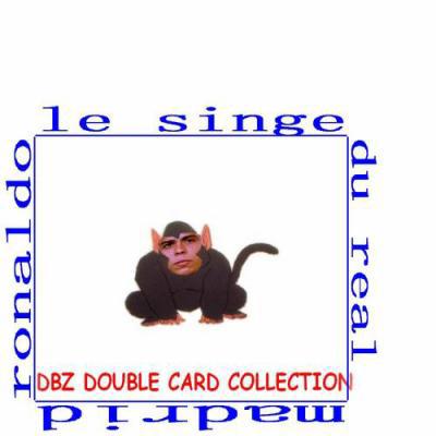 le singe