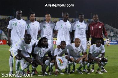 les lions 